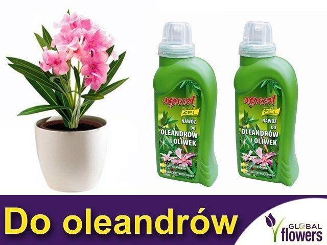 AGR Mineral Żel do Oleandrów i oliwek 0,25l /8/