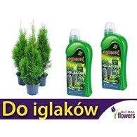 AGR Mineral żel do iglaków 1l /6/