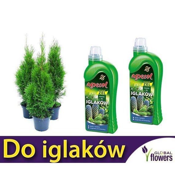 AGR Mineral żel do iglaków 1l /6/