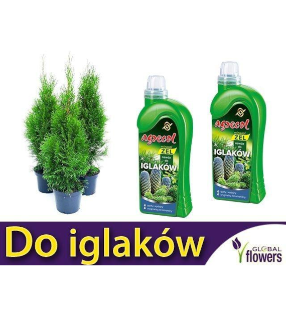 AGR Mineral żel do iglaków 1l /6/