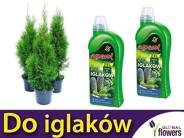 AGR Mineral żel do iglaków 1l /6/