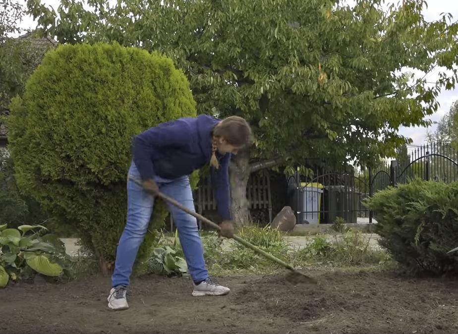 AGRECOL Asahi SL 10ml /12/