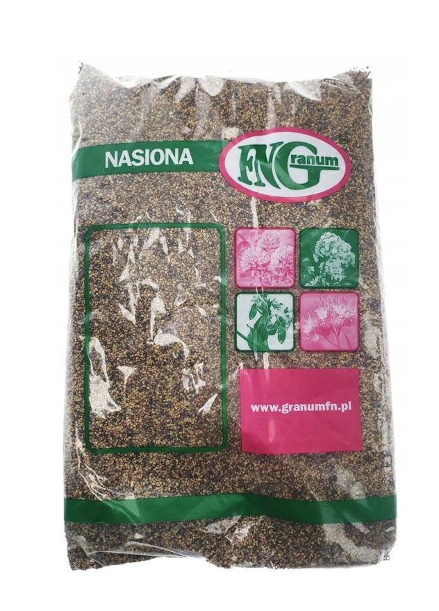 Koniczyna łąkowa czerwona Rozeta C1 0,5kg