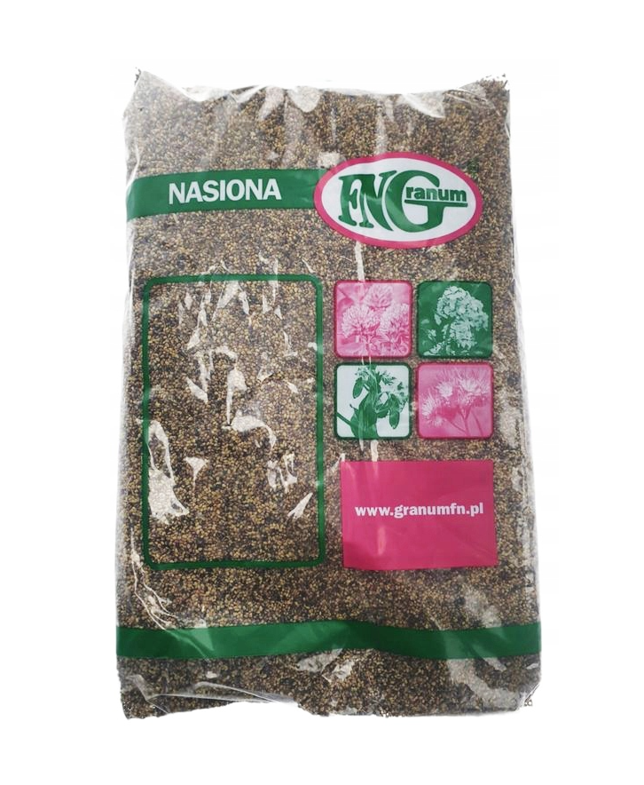 Koniczyna łąkowa czerwona Rozeta C1 1kg