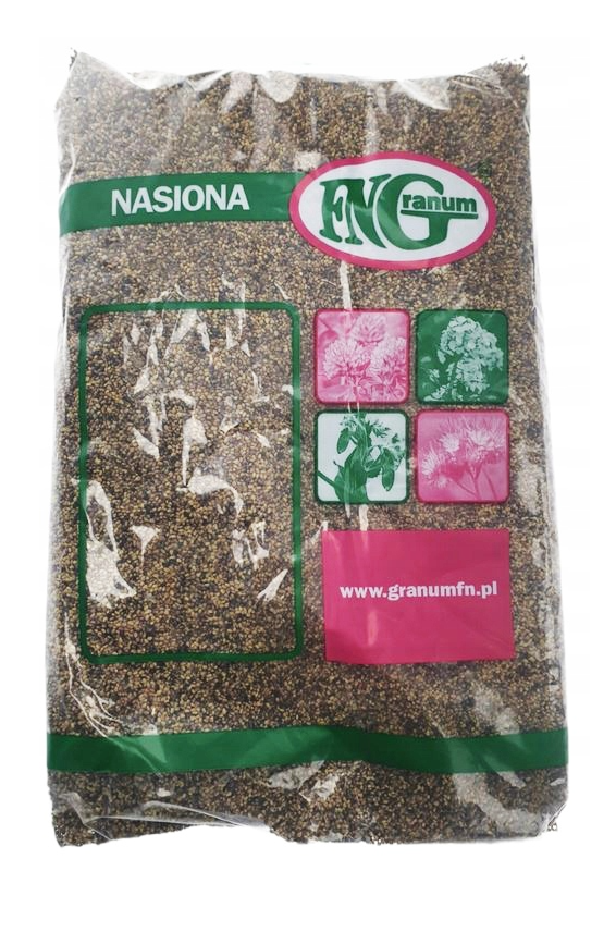 Koniczyna perska DS MAGIC C1 1kg