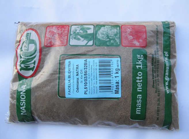 FACELIA BŁĘKITNA STALA C1 1 KG