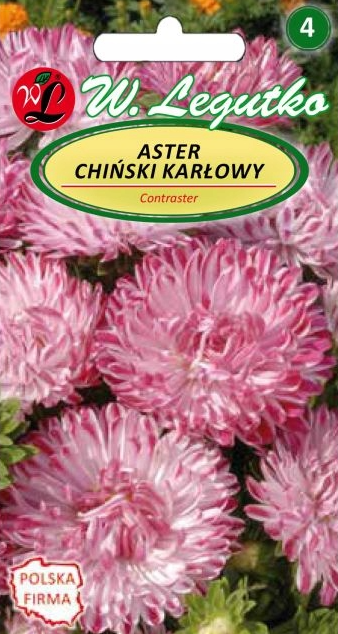 Aster chiński karłowy Contraster biało-różowe 0,5g