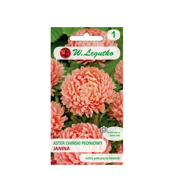 Aster piwoniowy Janina łos.0,5g