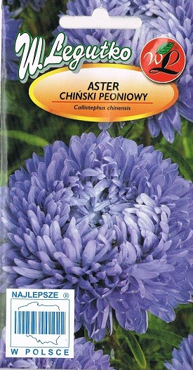 Aster chiński peoniowy fioletowy 1g