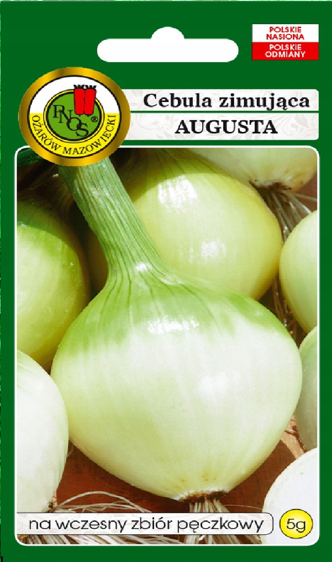 Cebula Augusta zimujaca 5g ST