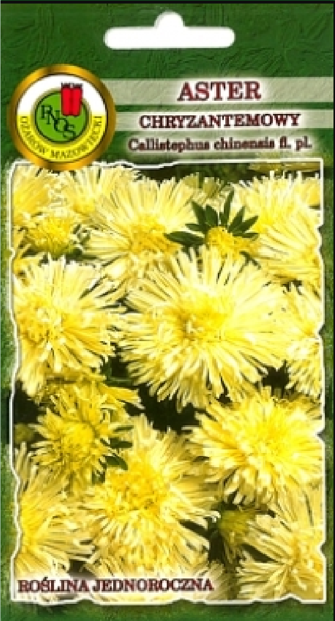 Aster Chryzantemowy Żółty 0,8G