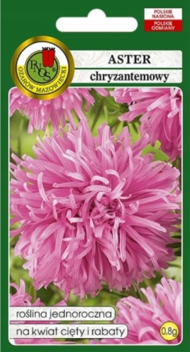 Aster Chryzantemowy Różow. 0,8g