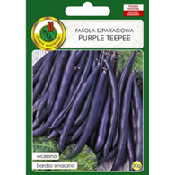 Fasola Purple Teepee 30g ST