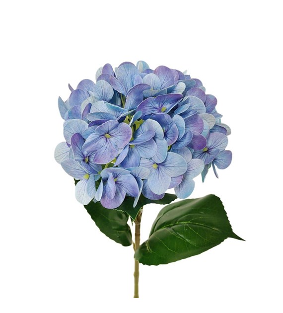 BIOPON Hortensja niebieska 200g /10/
