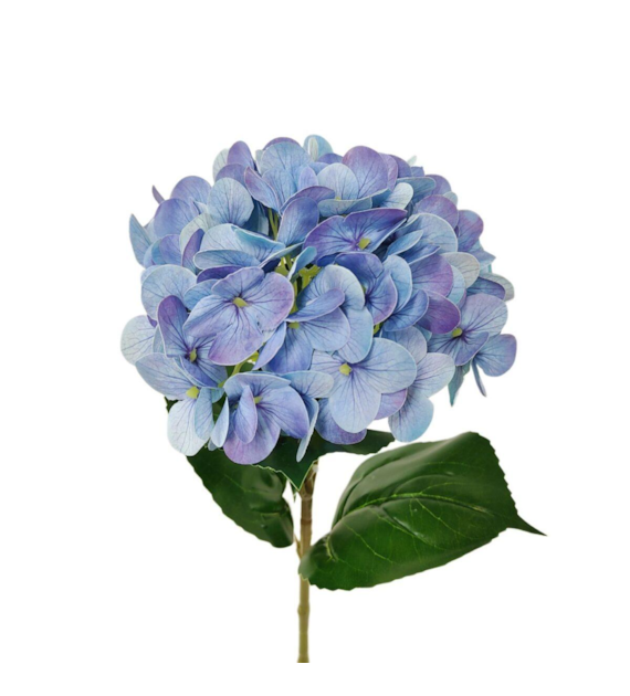 BIOPON Hortensja niebieska 200g /10/