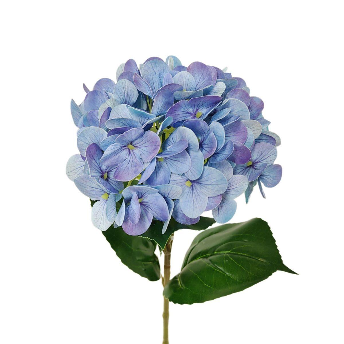 BIOPON Hortensja niebieska 200g /10/