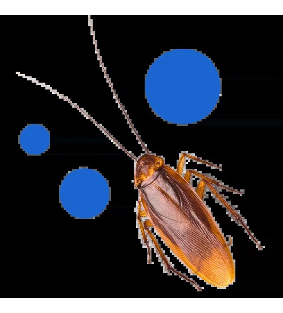 BROS Pułapka na rybiki /18/