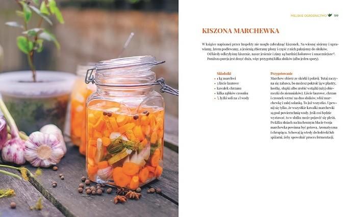 BIOPON Wapnella wapń do pomidorów 0,25l /12/