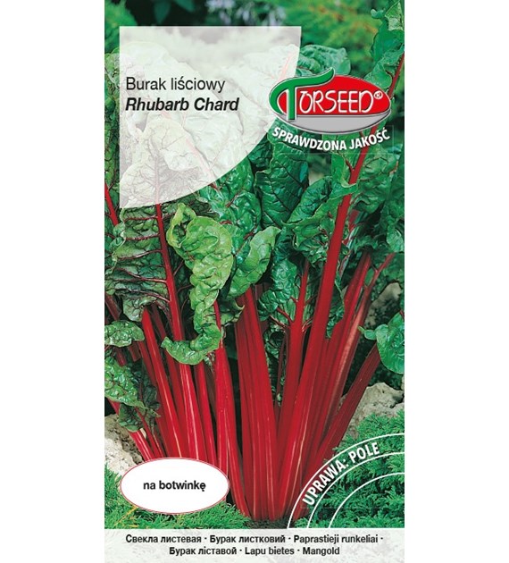 Burak liściowy Rhubarb Chard 10g