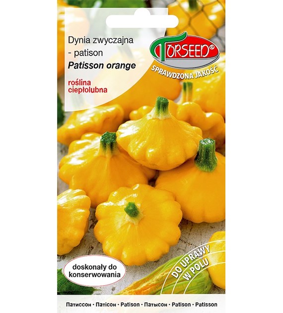 Dynia zwyczajna Patisson orange-jasnopomarańczowe