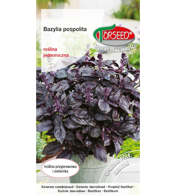 Bazylia pospolita /czerwonolistna/ 0,2g