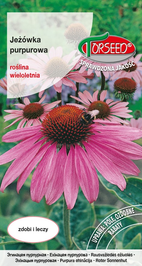 Jeżówka purpurowa 0,2g