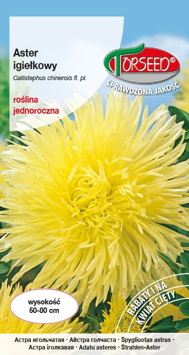 Aster igiełk - żółty 0,5g Callistephus chin.fl.pl