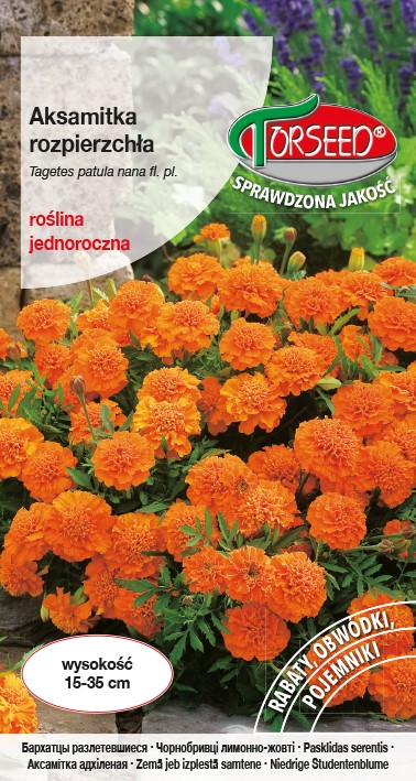 Aksamitka rozpierzchła-niska,pomar.1g Tagetes