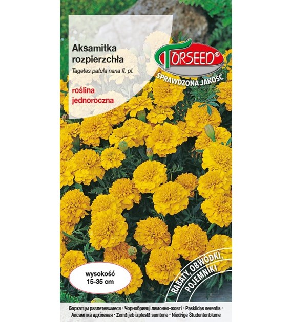 Aksamitka rozpierzchła-niska,żółta 1g Tagetes