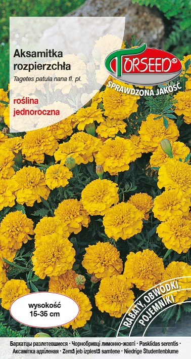 Aksamitka rozpierzchła-niska,żółta 1g Tagetes
