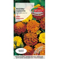 Aksamitka rozpierzchła - mieszane 1g Tagetes