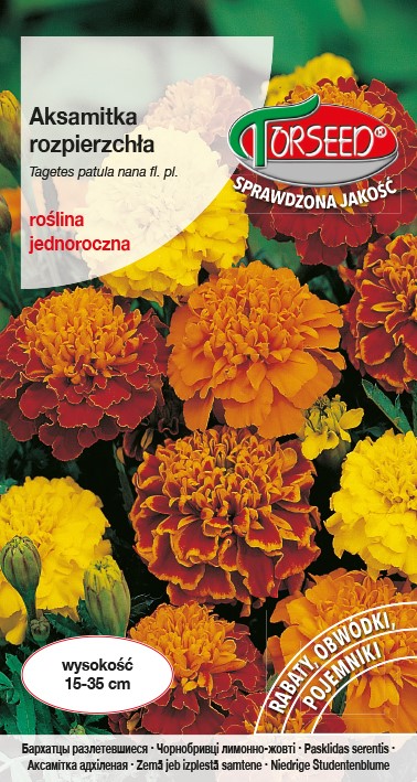 Aksamitka rozpierzchła - mieszane 1g Tagetes