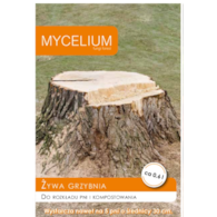 Grzybnia do rozkładu pni Mycelium 0,6l