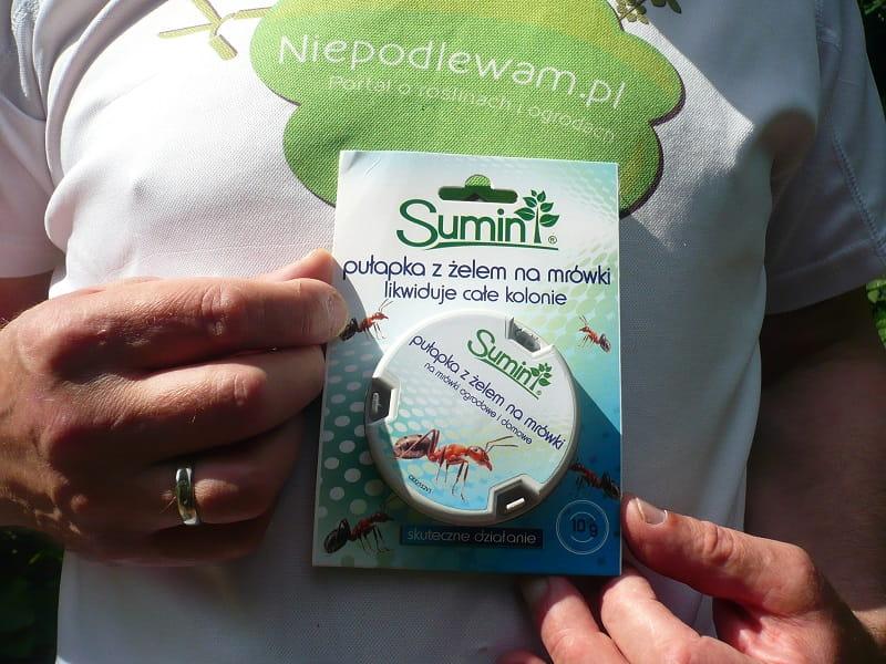 SUMIN PUŁAPKA Z ŻELEM NA MRÓWKI A-2 szt./12/