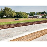Agrowłóknina PEGAS P17 1.6x10m