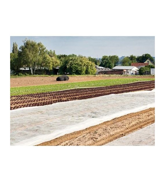Agrowłóknina PEGAS P17 1.6x10m