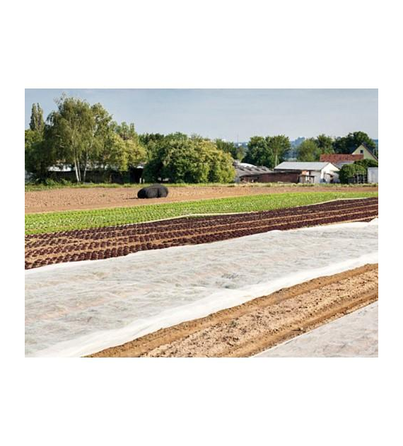 Agrowłóknina PEGAS P17 1.6x10m