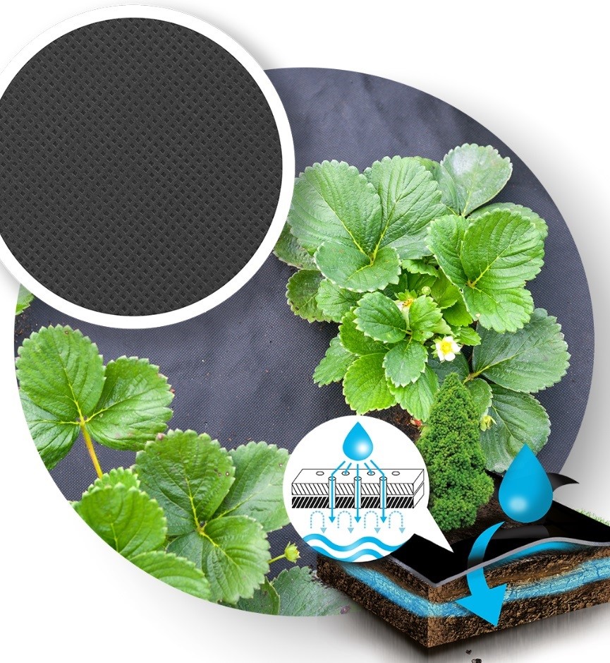 Agrowłóknina AGRO Marina P50 3,2x5 czarna + 14sz.