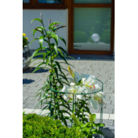 PODPORA KWIATOWA 3szt. 45X15 2028 S