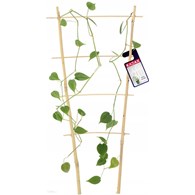 Drabinka bambusowa pałąk 90cm DG90