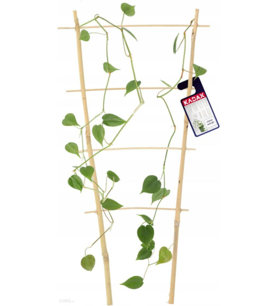 Drabinka bambusowa pałąk 90cm DG90