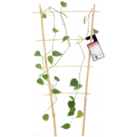 Drabinka bambusowa pałąk 150cm DG150
