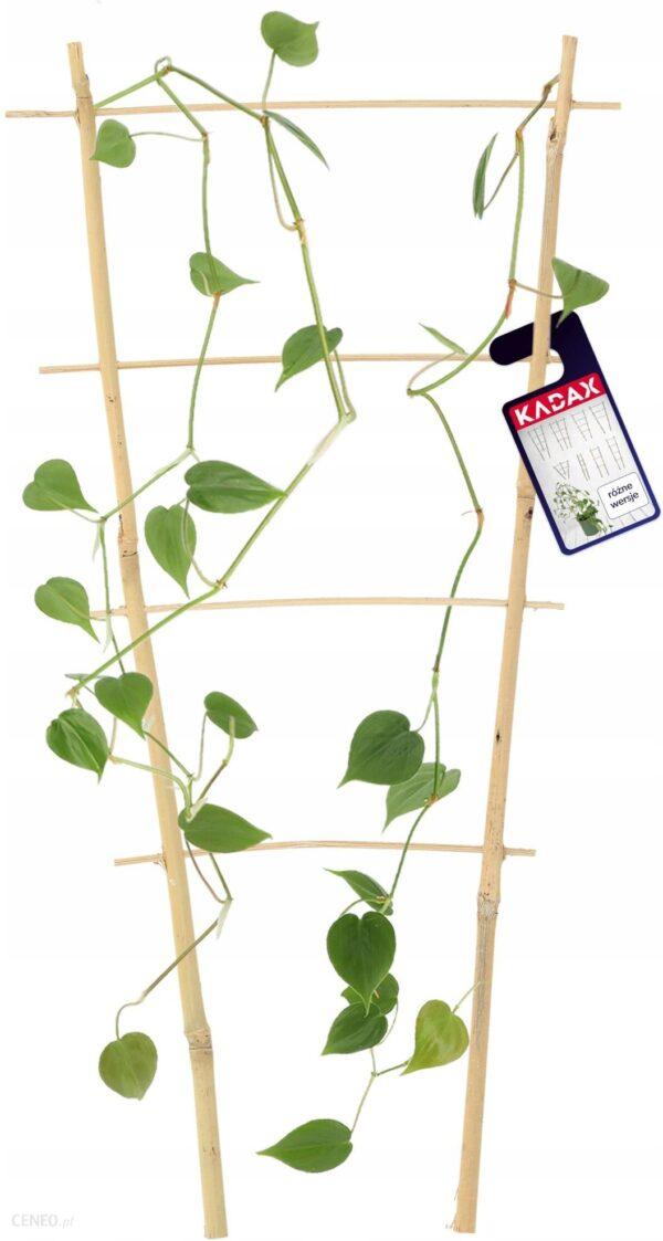 Drabinka bambusowa pałąk 150cm DG150