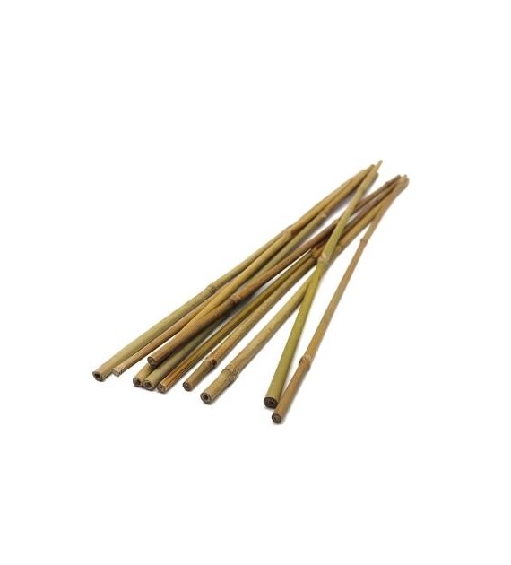 Tyczki bambusowe  105cm 10-12mm T105 /20/