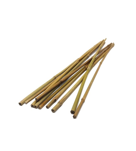 Tyczki bambusowe  90cm 10-12mm T90 /20/
