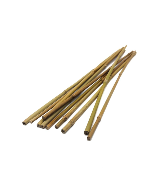 Tyczki bambusowe  90cm 10-12mm T90 /20/ /250/