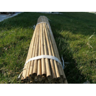Tyczki bambusowe  180cm 16-18mm T180