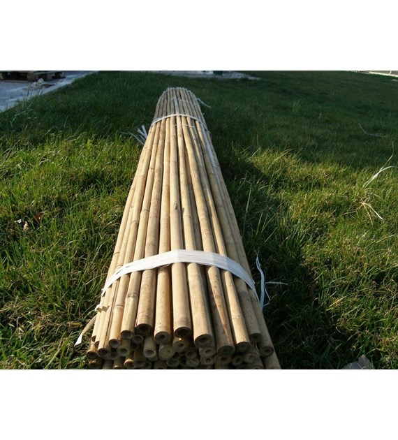 Tyczki bambusowe  180cm 16-18mm T180