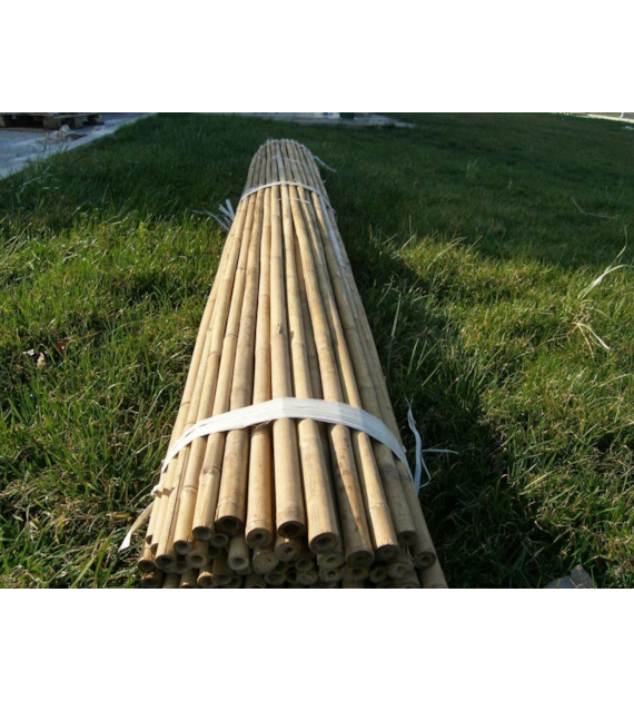 Tyczki bambusowe  180cm 16-18mm T180