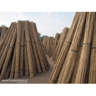 Tyczki bambusowe  210cm 20-22mm T210